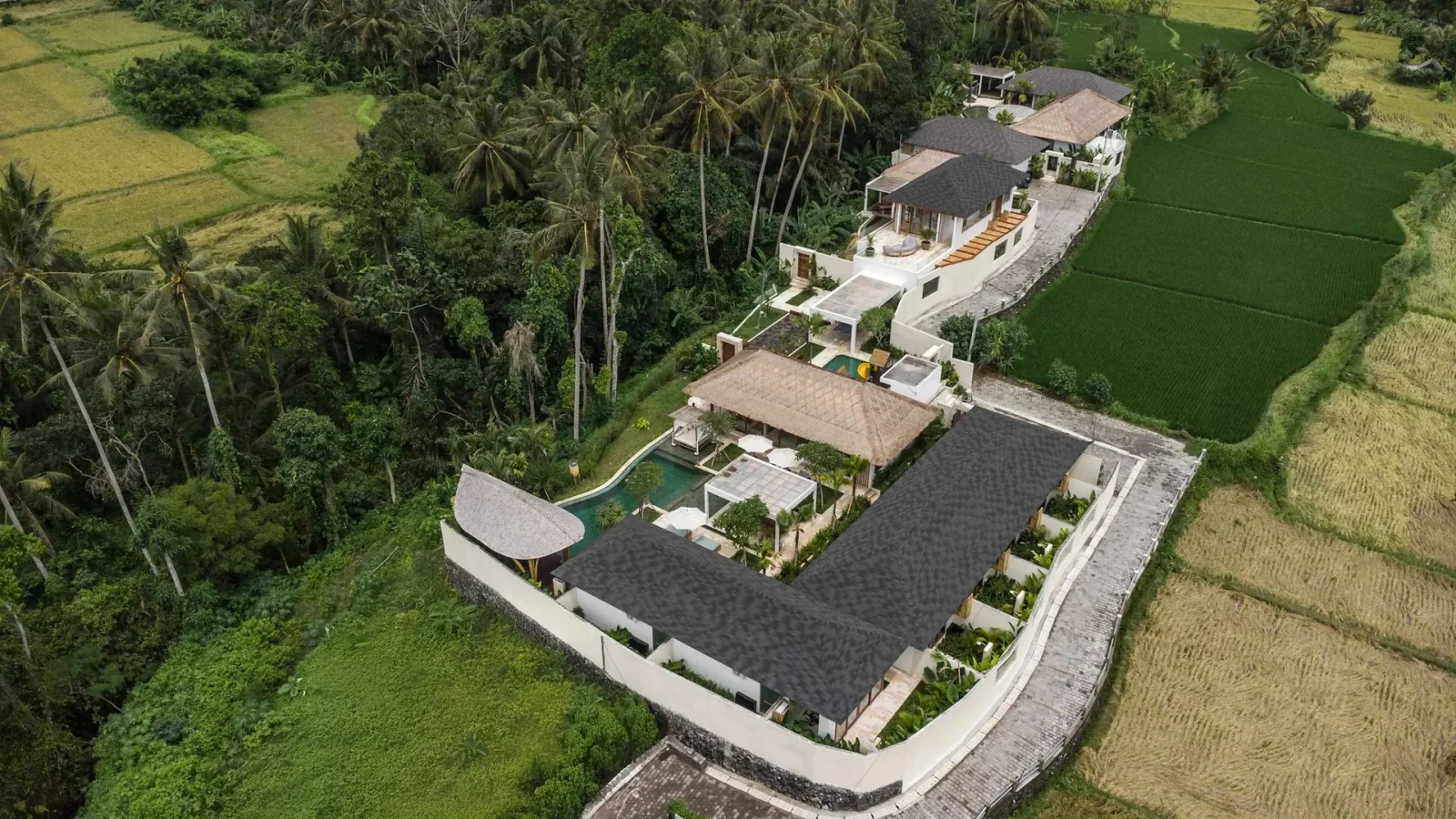 SACRED AF: The Sanctuary Collection Bali Retreat